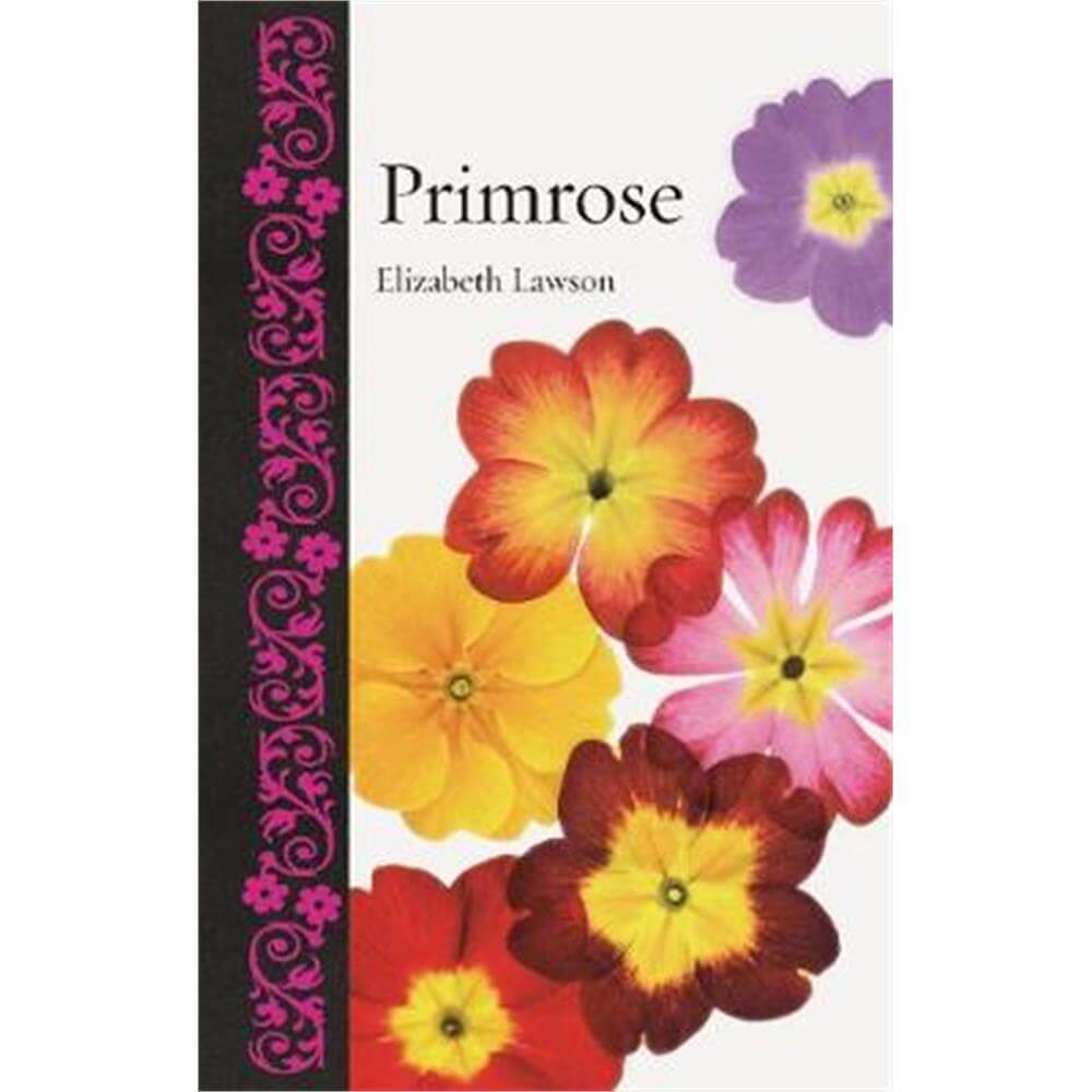 Primrose (Hardback) - Elizabeth Lawson